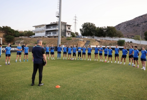 ethniki ginaikon 