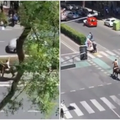 Αργεντινός πανηγύρισε καβάλα στ' άλογο στους δρόμους του Ροζάριο για την κατάκτηση του Μουντιάλ (vid)