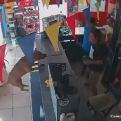 Υπέροχο βίντεο: Σκύλος... τρελάθηκε από τη χαρά του στους πανηγυρισμούς για το γκολ του Εκουαδόρ!
