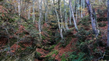 Το πέταγμα σηκώνει τη σκόνη του χρόνου