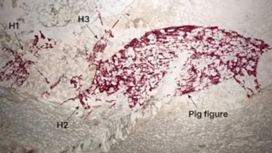 Η αρχαιολογική ανακάλυψη του αιώνα: Το έργο τέχνης 51.200 ετών που αλλάζει όσα ξέραμε για την ανθρωπότητα