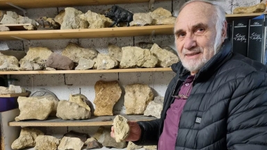 Άντρας συλλέγει 6.000 πέτρες σε σχήμα αγριογούρουνου: Ποια είναι η θεωρία του