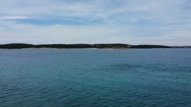 Το νησί στο οποίο «κυριαρχούν» τα κουνέλια: Έχουν γίνει ένα με τους ανθρώπους