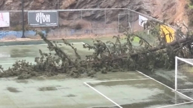 Κακοκαιρία στην Αττική: Έπεσαν δέντρα σε γήπεδο της Ηλιούπολης!