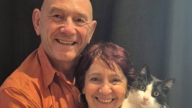 Η απίστευτη επιστροφή της Φιλού: Η γάτα που διένυσε 250 χλμ. από την Καταλονία στη Γαλλία για να βρει το σπίτι της