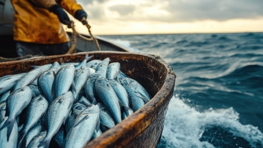 Μπλε τρόφιμα: Η αλήθεια για τη σημασία που έχουν για τη ζωή και την οικονομία