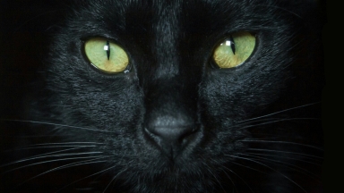 Γιατί οι Έλληνες φοβούνται την Τρίτη και 13 και ο υπόλοιπος κόσμος την Παρασκευή και 13;