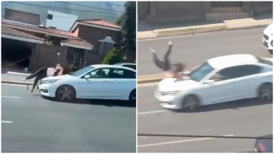 Τρομακτικό τροχαίο στο Μεξικό: Βγήκε ξαφνικά στον δρόμο και αυτοκίνητο την εκτόξευσε στον αέρα (vid)