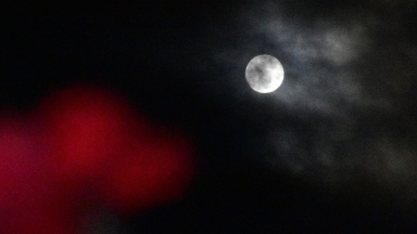 Το κόκκινο της ζωής και της απώλειας