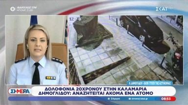 Δημογλίδου για την δολοφονία του 20χρονου οπαδού του ΠΑΟΚ: «Αναζητείται ακόμα ένα άτομο» (vid)