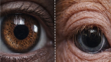 Γιατί οι επιστήμονες χρησιμοποιούν μάτια χοίρων στην ιατρική έρευνα