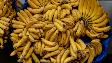 Η λάθος παραγγελία σε νησί της Σκωτίας: Οι κάτοικοι βρέθηκαν ξαφνικά με χιλιάδες μπανάνες