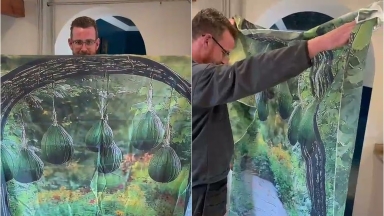 Απίστευτο fail από Temu: Παρήγγειλαν μεταλλική αψίδα κήπου και έλαβαν μια... φωτογραφία της (vid)