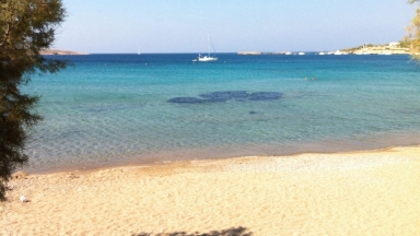 Η Σύρος ανοίγει τις παραλίες της σε όλους: Δωρεάν ομπρέλες και προσβασιμότητα για κάθε επισκέπτη (vid)