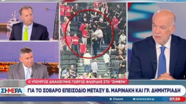 Φλωρίδης για το επεισόδιο Μαρινάκη-Δημητριάδη: «Αν κριθεί κάποιος ένοχος, θα φυλακιστεί» (vid)