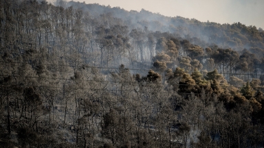 Αποκαρδιωτικά στοιχεία του Meteo: Κάηκε το 38% των δασών στην Αττική μέσα σε 9 χρόνια 