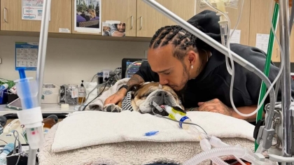 Ο Χάμιλτον αποχαιρετά τον αγαπημένο του σκύλο