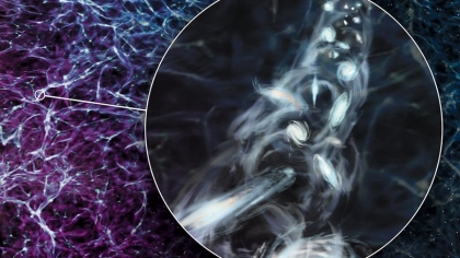 Ανατρεπτική ανακάλυψη: Ολόκληρο «νήμα» γαλαξιών περιστρέφεται στο διάστημα!