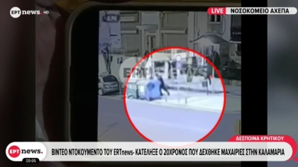 Βίντεο-ντοκουμέντο: Η στιγμή που ο 20χρονος σωριάζεται στο έδαφος μετά τη δολοφονική επίθεση