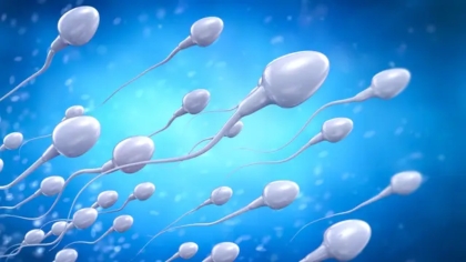 Έρχεται το πρώτο Παγκόσμιο Κύπελλο Ταχύτητας Σπέρματος με έπαθλο 100.000 δολάρια (vid)