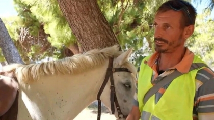 Αλκοτέστ και... άλογα: Το παράδοξο περιστατικό στην Άνδρο και τι προβλέπει ο ΚΟΚ