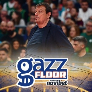 Gazz Floor by Novibet