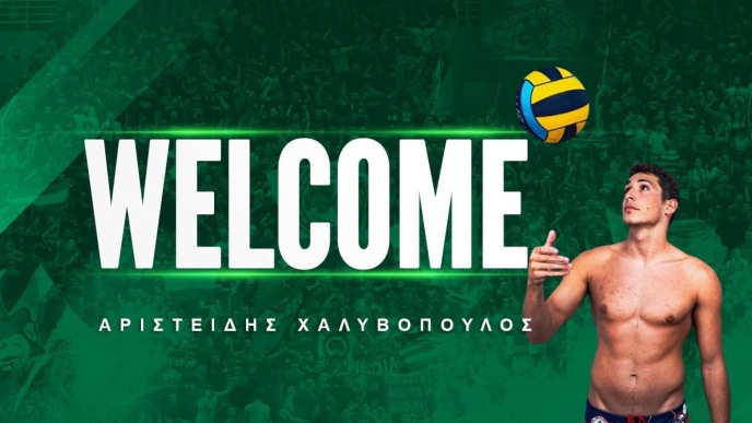 Παναθηναϊκός, Χαλυβόπουλος, Μεταγραφές