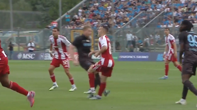 debruyne_pneumonidis