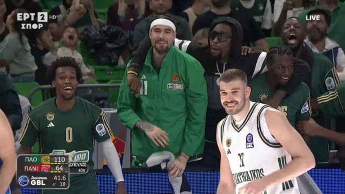 Νίκος Ρογκαβόπουλος