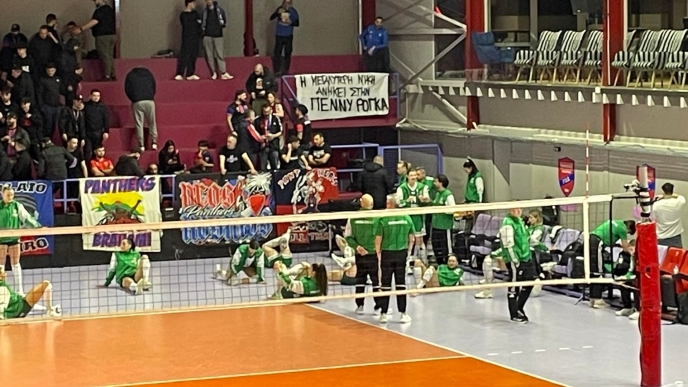 Πέννυ Ρόγκα, Βόλεϊ, Παναθηναϊκός, Πανιώνιος