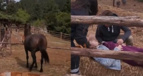 Σοβαρό ατύχημα διαγωνιζόμενης στη Φάρμα: Την χτύπησε άλογο (vid)