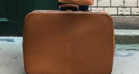 Σοκαριστικά ευρήματα σε βαλίτσα στο αεροδρόμιο του Σικάγο: Κατέσχεσαν «μούμιες» πιθήκων και κρέας πρωτευόντων!