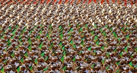 Οι «Φρουροί της Επανάστασης» απειλούν την Κύπρο με σφοδρή πυραυλική επίθεση!