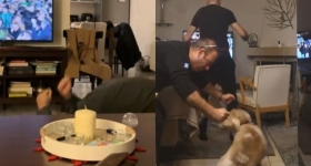 Οι καλύτερες αντιδράσεις των φίλων του Παναθηναϊκού στο γκολ του Ταμπόρδα στα social media