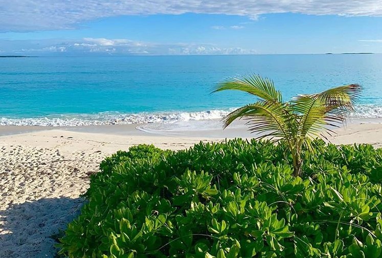 Ζητούνται 5 υπάλληλοι για να ζήσουν 2 μήνες στις Μπαχάμες (vid)